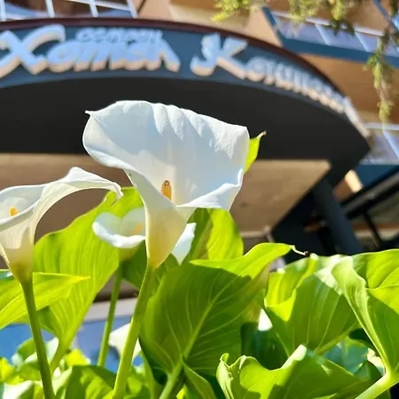 Family Kontesa Хотел