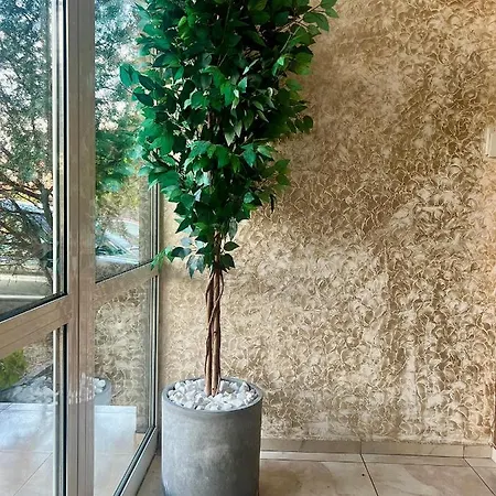 Family Kontesa Ξενοδοχείο Lozenets