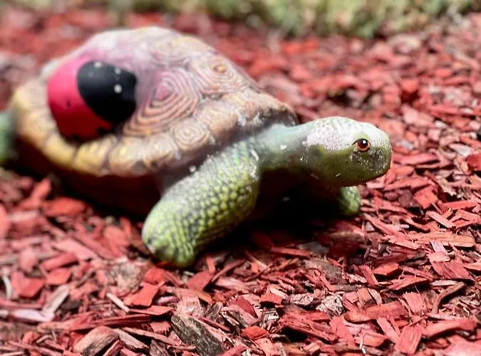 Family Kontesa Lozenets